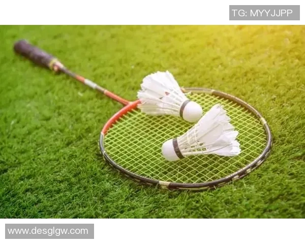 杭州羽毛球队的节奏与风采探索聚焦羽毛球运动的魅力与发展