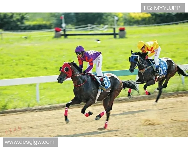 重庆羽毛球队的崛起之路：亚运会背后的奋斗与荣耀