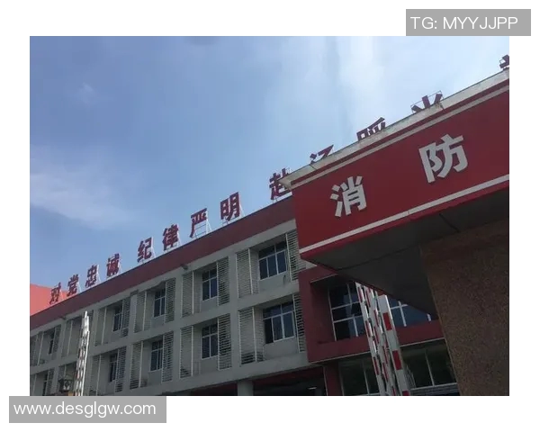 重庆攀岩队整体压制革新之路探索与实践的深度剖析